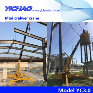 China electrical mini spider crawler crane