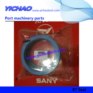 Sany B230101000298 B7 Seal