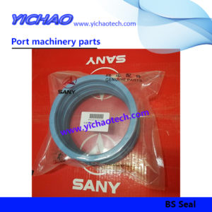 Sany B230101000425 BS Seal