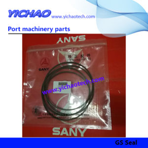 Sany A880806030016 GS Seal