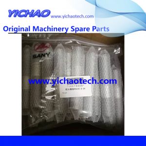 Original Sany Container Equipment Port Machinery Parts Stud 10075009