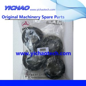 Sany A221500000195 Knuckle Bearing