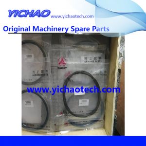Original Sany Container Equipment Port Machinery Parts Brake Steel Disc 60062646
