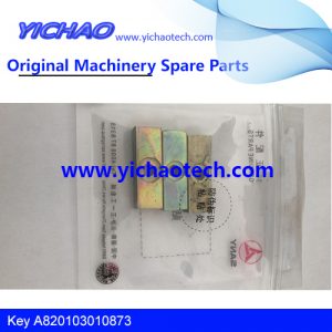 Original Machinery Reach Stacker Spare Part Key A820103010873 for Sany