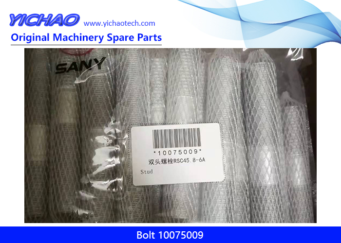 Aftermarket Container Equipment Port Machinery Parts Bolt 10075009 for Sany