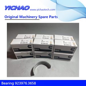 Genuine Cummins Bearing 923976.3658 for Kalmar Container Equipment Spare Parts