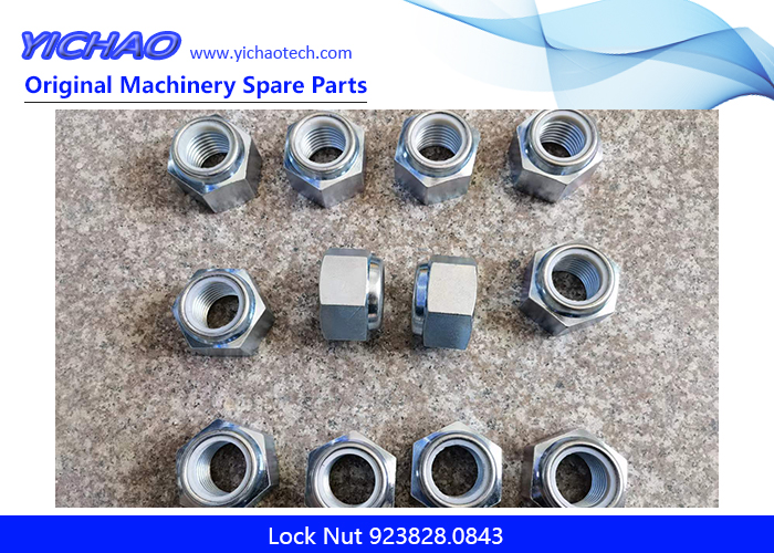 Replacement Lock Nut 923828.0843 for Kalmar Lmv Forklift Spare Parts