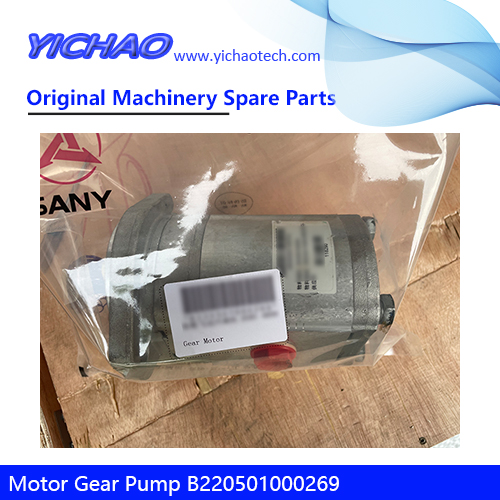 Replacement Motor Gear Pump B220501000269 for Sany Concerte Pumps Spare Parts