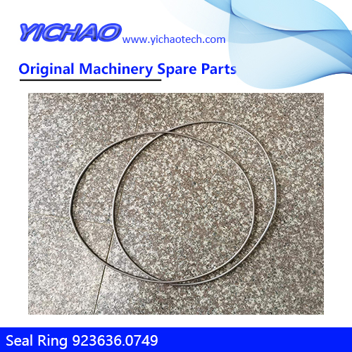 Original Container Equipment Spare Parts Seal Ring 923636.0749 Garter Spring