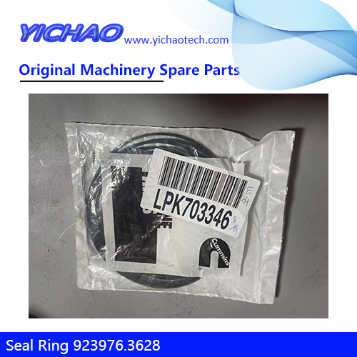 Original Cummins Seal Ring 923976.3628 for Container Equipment Spare Parts