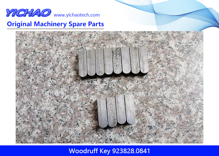 Replacement Woodruff Key 923828.0841 for Kalmar Lmv Forklift Spare Parts