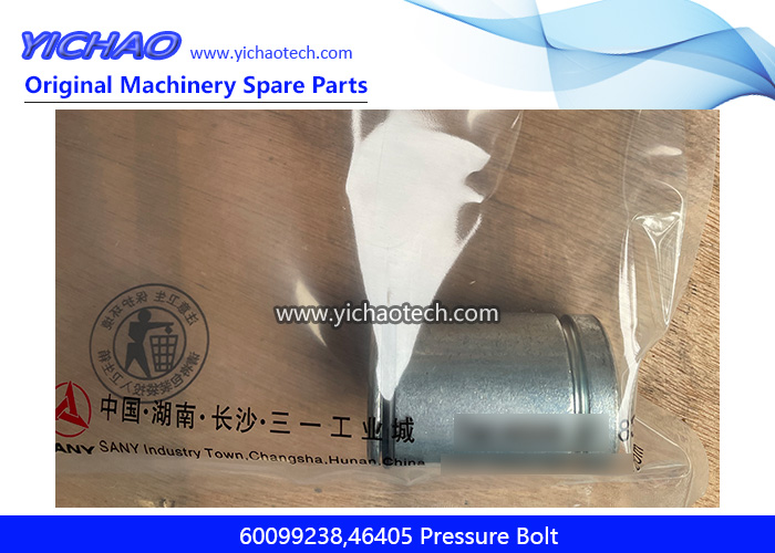 Genuine Sany 60099238 Pressure Bolt 46405 for Reach Stacker Spare Parts