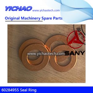 Genuine Sany 60284955 Seal Ring for Reach Stacker Spare Parts