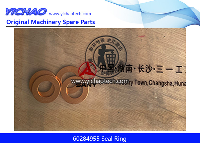 Genuine Sany 60284955 Seal Ring for Reach Stacker Spare Parts