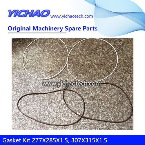 Aftermarket Gasket Kit 277X285X1.5,307X315X1.5 Piston Oil Seal for Reach Stacker Spare Parts