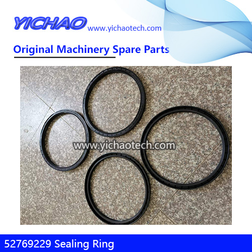 Original 52769229 Sealing Ring,Oil Seal for Port Machinery Spare Parts