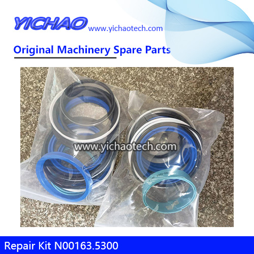 Genuine Steering Cylinder Repair Kit N00163.5300 for Port Machinery Spare Parts