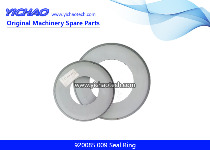 Original 920085.009 Seal Ring for Kalmar DCE Forklift Parts