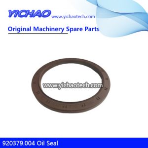 Original 920379.004 Oil Seal 235593,4204710 for Kalmar DCE80-100 Empty Container Handling Machine Parts