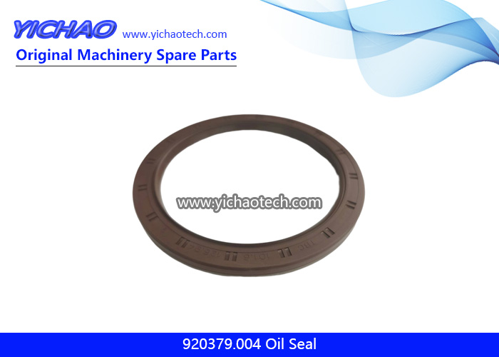 Original 920379.004 Oil Seal 235593,4204710 for Kalmar DCE80-100 Empty Container Handling Machine Parts