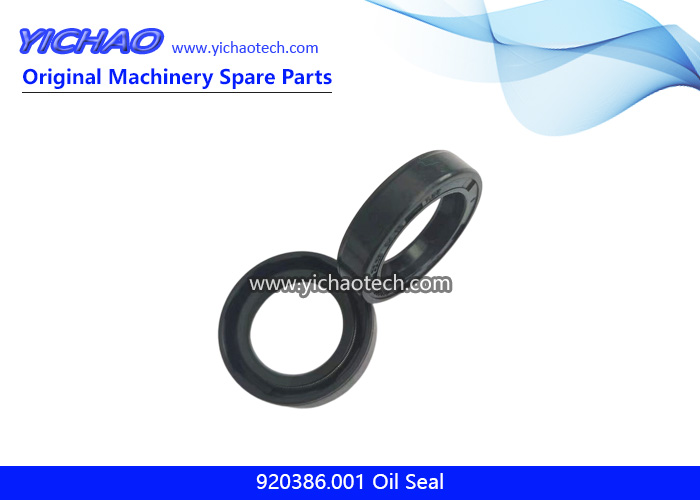 Original 920386.001 Oil Seal 456294 for Kalmar DCE80-100/45E Empty Container Handling Machine Parts