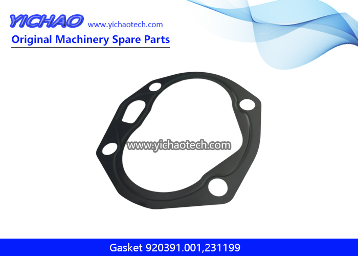 Original 920391.001 Gasket 231199 for Kalmar DCE80-100/45E Container Reach Stacker Parts