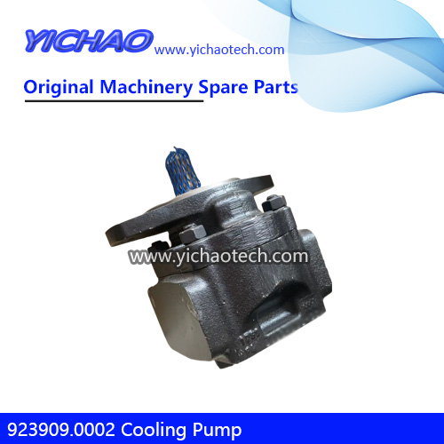 Original 923909.0002 Cooling Pump Hydraulic for Kalmar 45ton Container Reach Stacker Parts