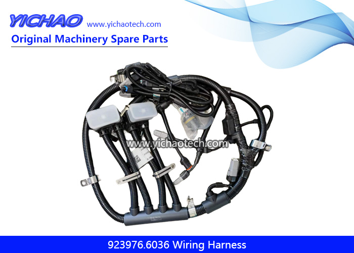 Original 923976.6036 Wiring Harness for Kalmar Port Machinery Parts