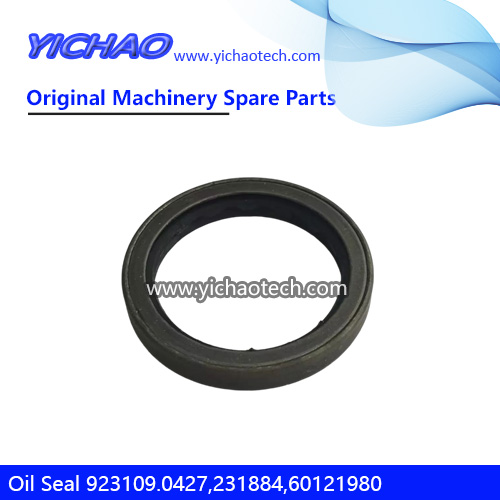 Genuine 923109.0427 Oil Seal 231884,60121980 for Kalmar DCD200-300 Container Reach Stacker Parts