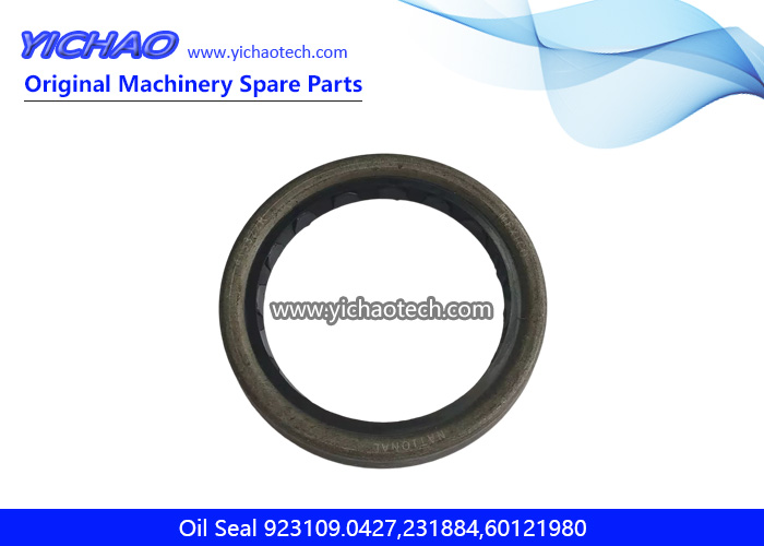 923109.0427 Oil Seal 231884,60121980 for Kalmar DCD200-300 Container Reach Stacker Parts