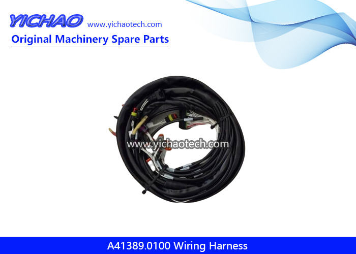 A41389.0100 Wiring Harness,Cable Unit for Kalmar Container Reach Stacker Parts