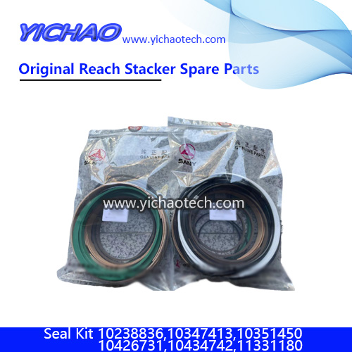 Genuine Sany Seal Kit 10238836,10347413,10351450,10426731,10434742,11331180 for Container Reach Stacker Spare Parts