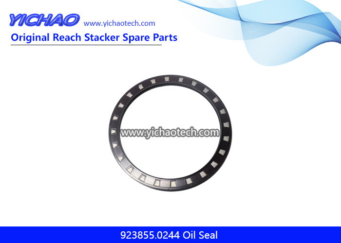 Kalmar 923468.0159/923855.0244 Oil Seal,Metric Seal for DCE80-100/45E Reach Stacker Parts
