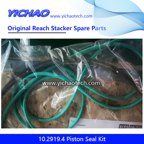 Original Kessler 10.2919.4 Piston Seal Kit for Port Machinery Spare Parts