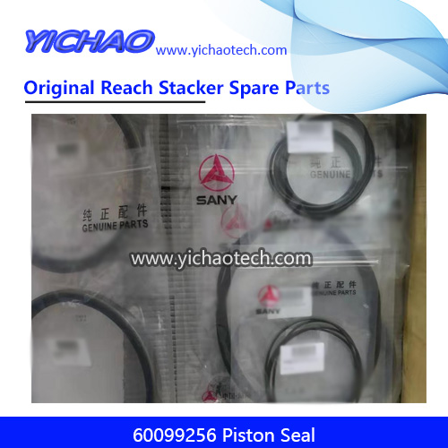 Sany 60099257 Piston Seal for SRSC45H1 Container Reach Stacker Spare Parts