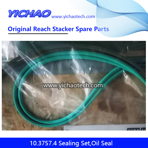 Original Kessler 10.3757.4 Sealing Set,Oil Seal for Port Machinery Spare Parts
