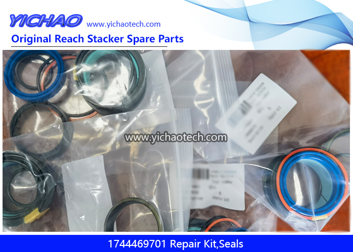 Linde 1744469701 Repair Kit,Seals for Container Reach Stacker Spare Parts