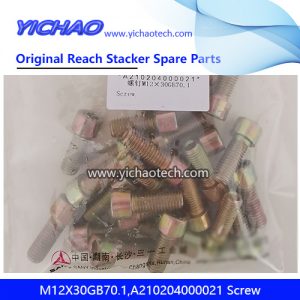 Sany M12X30GB70.1,A210204000021 Screw for Container Reach Stacker Spare Parts