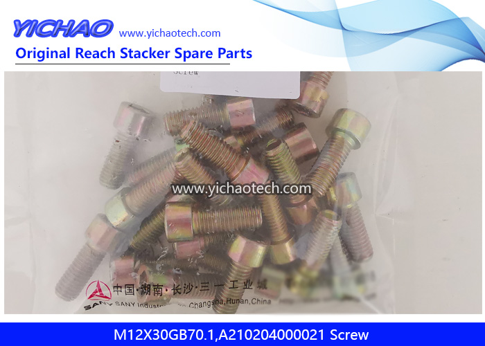 Sany M12X30GB70.1,A210204000021 Screw for Container Reach Stacker Spare Parts