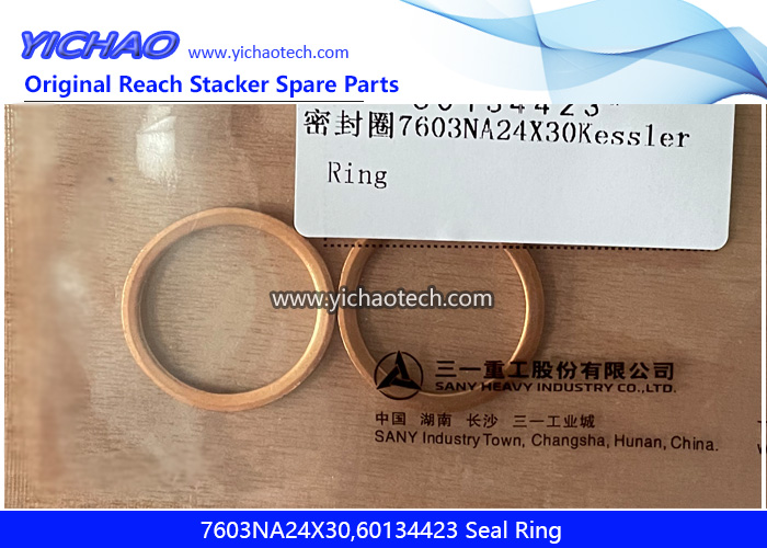 Sany Kessler 7603NA24X30,60134423 Seal Ring for Container Reach Stacker Spare Parts