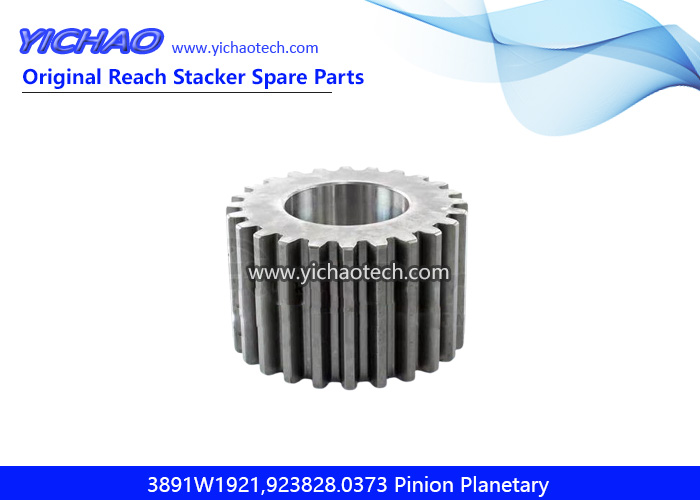 Kalmar Axletech 3891W1921,923828.0373 Pinion Planetary for Container Reach Stacker Spare Parts