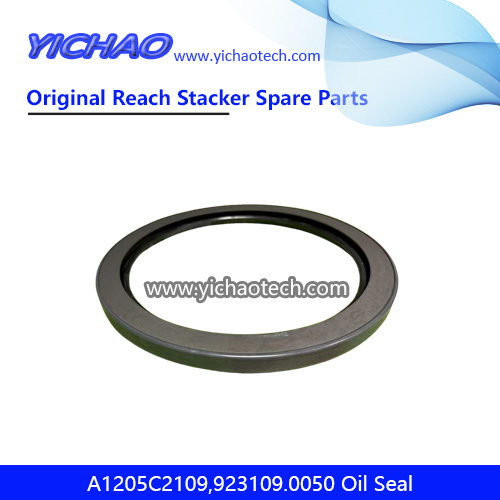 Kalmar SKF A1205C2109,923109.0050 Oil Seal for Container Reach Stacker Spare Parts