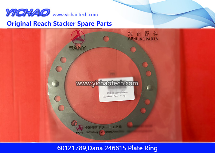 Sany 60121789,Dana 246615 Plate Ring for Container Reach Stacker Spare Parts