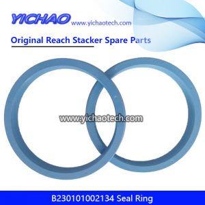 Sany B230101002134 Seal Ring for Container Reach Stacker Spare Parts