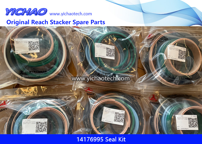 Sany 14176995 Seal Kit for Container Forklift Port Equipment Spare Parts