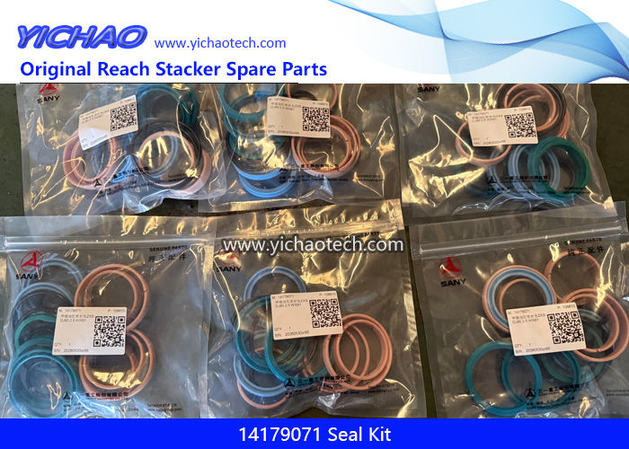 Sany 14179071 Seal Kit for Container Forklift Port Equipment Spare Parts