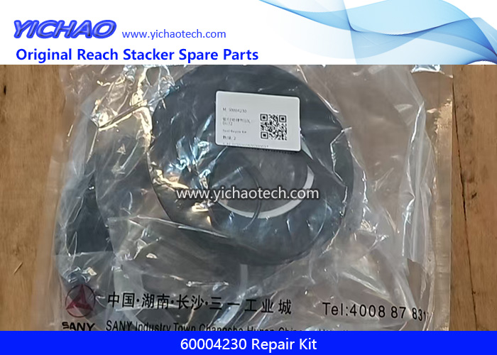 Sany 60004230 Repair Kit for Container Handler Spare Parts
