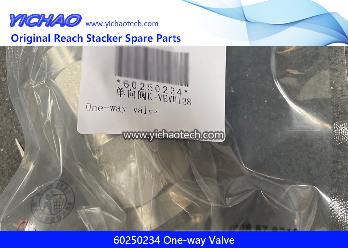 Sany 60250234 One-way Valve for Container Forklift Port Equipment Spare Parts
