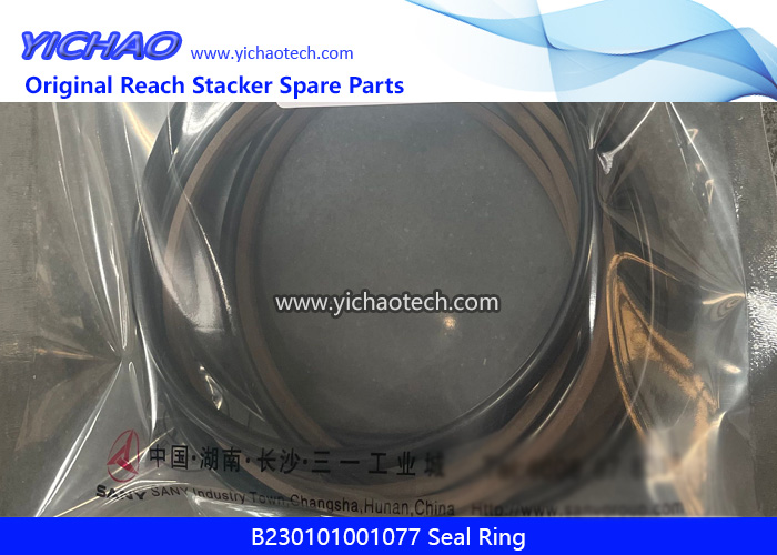 Sany B230101001077 Seal Ring for Container Forklift Port Equipment Spare Parts